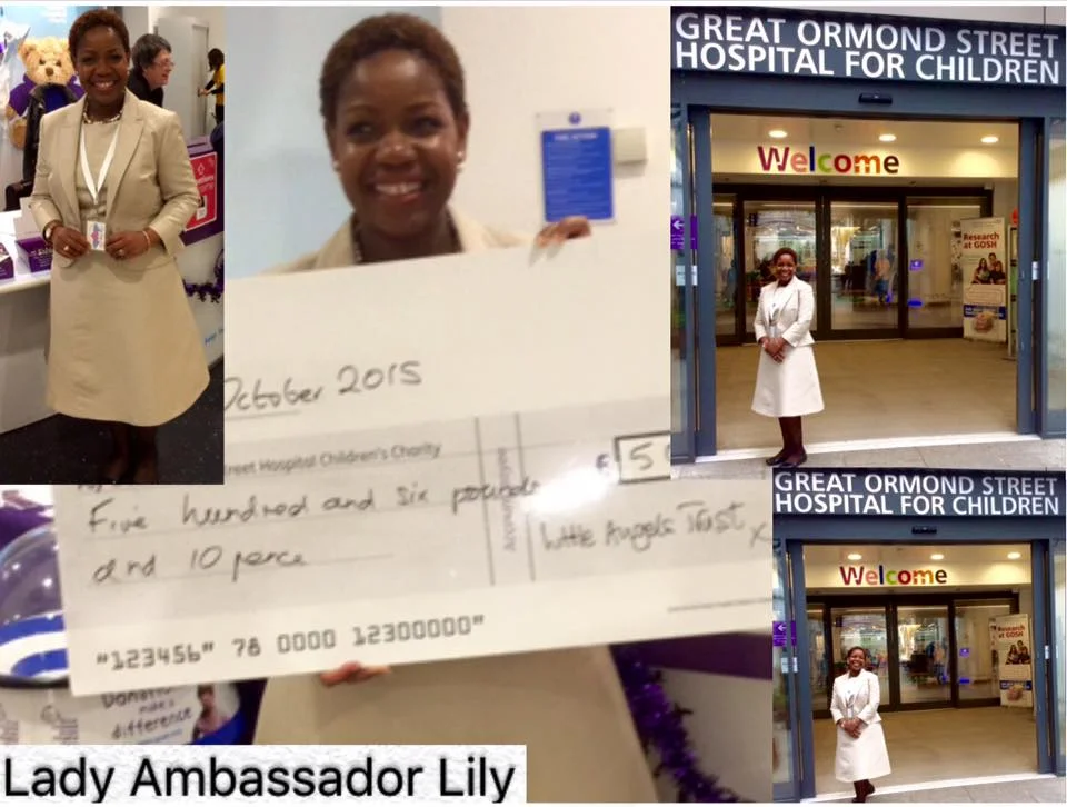 Donation by Lady Ambassador Lily